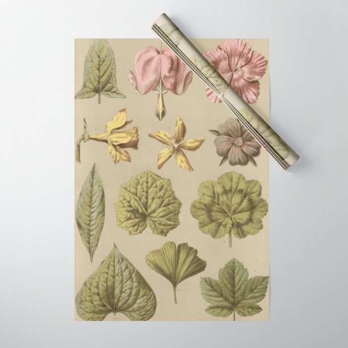 Victorian wrapping store paper