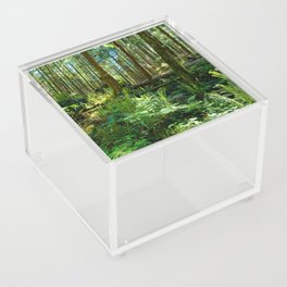 100 shades of green Acrylic Box