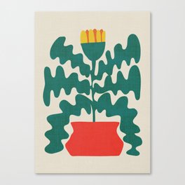 Plant in red terracotta pot Canvas Print