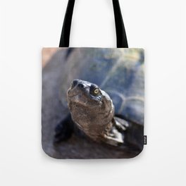 South Africa Photography - Beautiful Tortoise Tote Bag