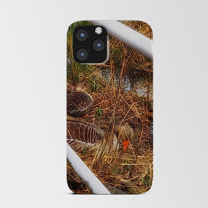 Geese in Reeds iPhone Card Case