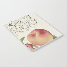 Vintage calligraphic art with flowers and peach Notebook