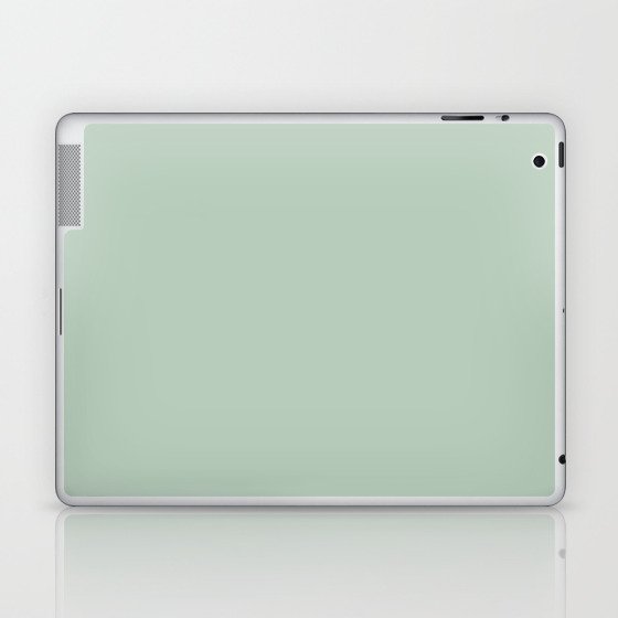 Light Green Solid Color Pantone Celadon 13-6108 TCX Shades of Green Hues Laptop & iPad Skin