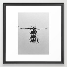 Banded Alder Borer Beetle Framed Art Print