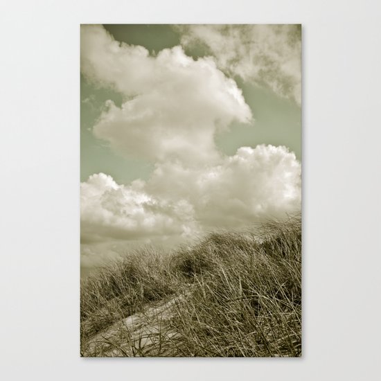 dunes II Canvas Print