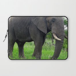 South Africa Photography - An Elephant On The Green Grassy Field Laptop Sleeve