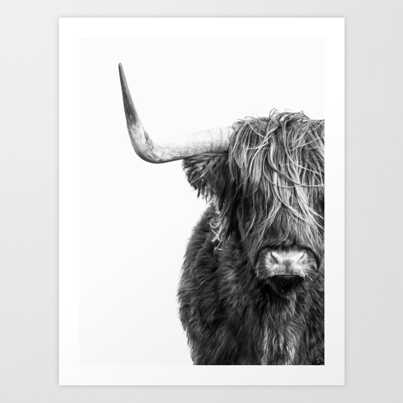 Highland Cow Portrait Black And White Art Print By