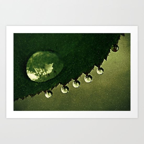 Leaf Drops Art Print