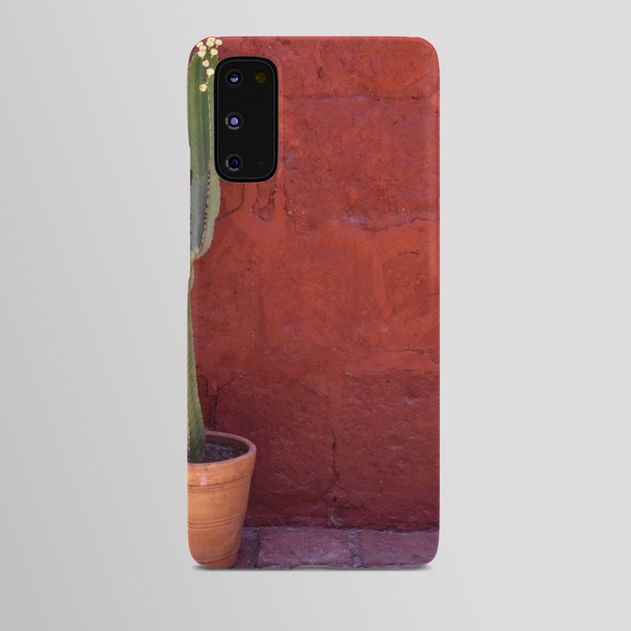 Mexico Photography - Small Cactus In Front Of A Red Brick Wall Android Case