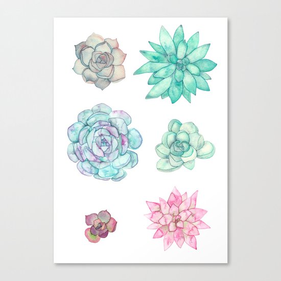Succulents 2 Canvas Print