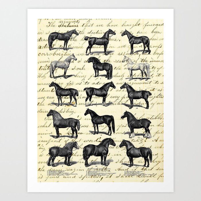1895 Vintage Horse study Art Print