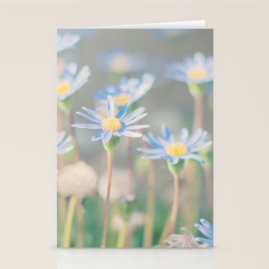 Blue Stationery Cards