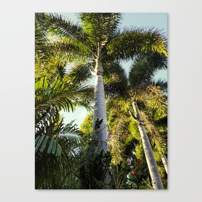 Palm Tree Garden Canvas Print