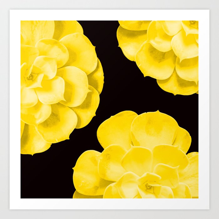 Large Yellow Succulent On Black Background #decor #society6 #buyart Art Print