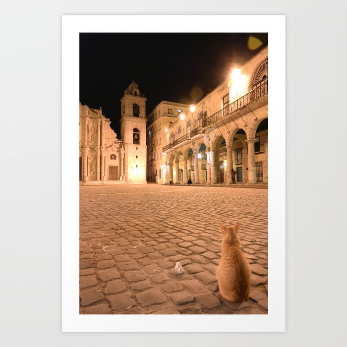 Havana Cat Art Print