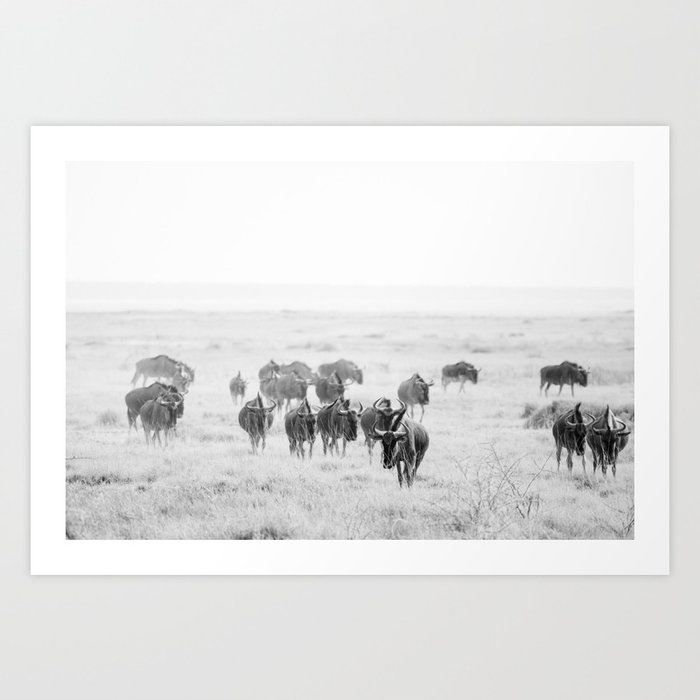 Wildebeest, Gnoe, Namibia, Etosha National Park || African wildlife, Photography, Art Print Art Print