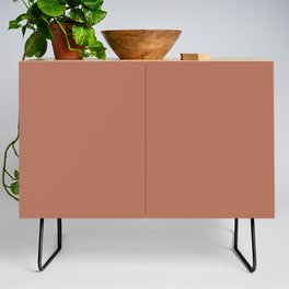 Dark Mid-tone Pink Solid Color Pairs PPG Copper Beech PPG1067-5 - All One Single Shade Hue Colour Credenza