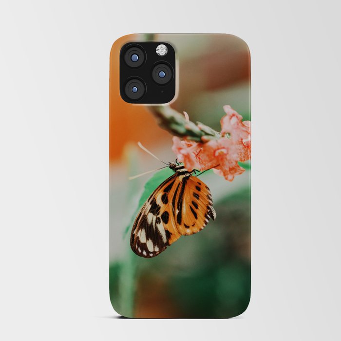 Butterfly Sunset Haze iPhone Card Case