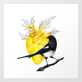 Magpie with a golden heart Art Print