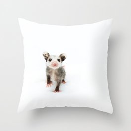 Baby Opossum Smile Throw Pillow