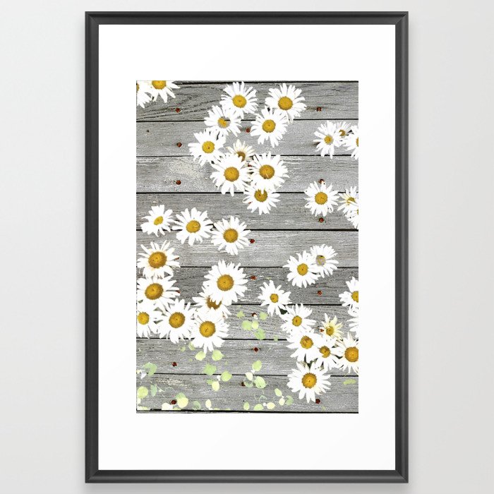Daisies Scattered on a Wooden Floor Framed Art Print