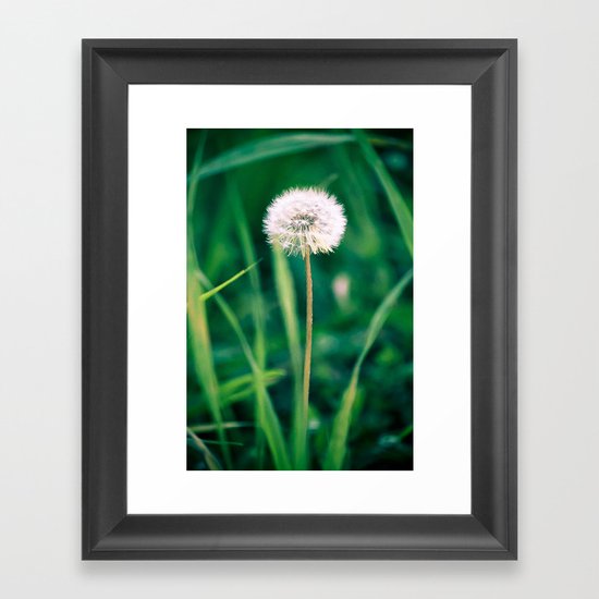Fluffy Flower Framed Art Print