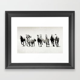 Black and White Horses Framed Art Print