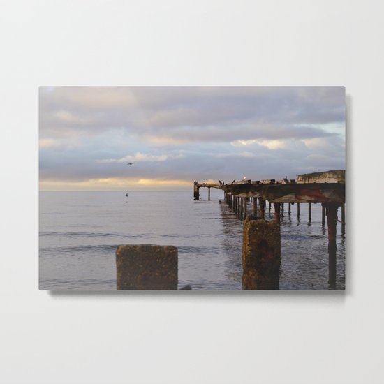 The Seagulls 2 Metal Print