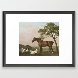  bay hunter horse with two playful spaniels by George Stubbs Framed Art Print | Artistic, Wild, Art, Portrait, Drawing, Painting, Outdoor, Isolated, Beautiful, Animal 