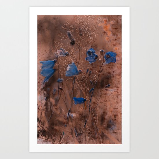 Evening bluebells. Art Print