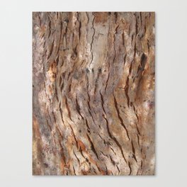 Bark Canvas Print