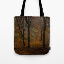 Dramatic Fall Forest Tote Bag