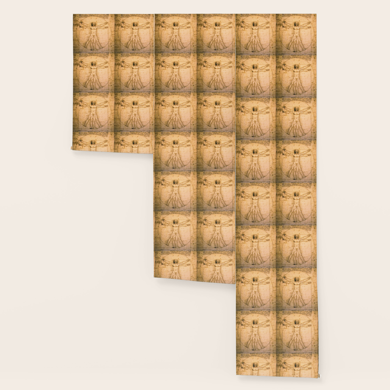 Vitruvian Man By Leonardo Da Vinci Wallpaper By Palazzoartgallery