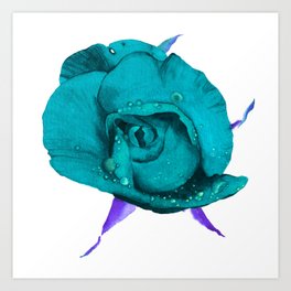 turquoise rose Art Print
