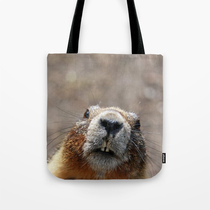 Marmot tote bag top