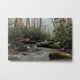 Great Smoky Mountains National Park - Porter's Creek Metal Print