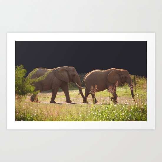 Elephant Walk Art Print