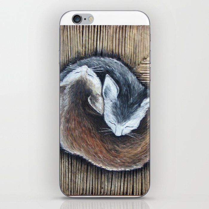 Cats rest iPhone Skin