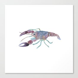 Watercolor Crayfish Canvas Print