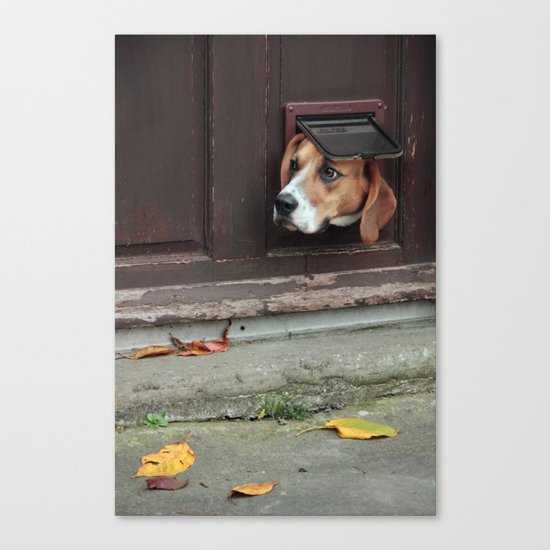 A Window to the World Canvas Print