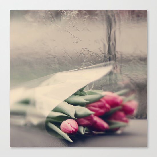 tulips on a rainy day Canvas Print