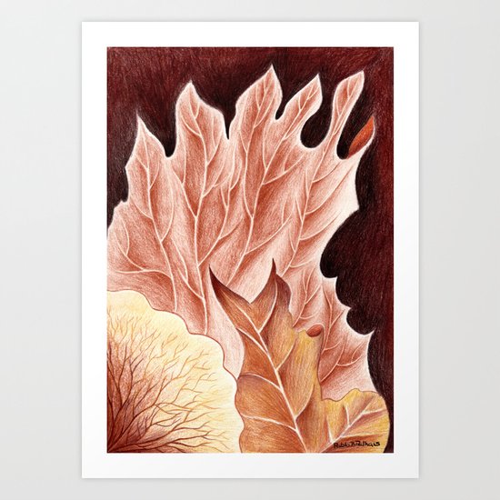 Platycerium Art Print