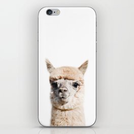 Baby Alpaca, Farm Animals, Art for Kids, Baby Animals Art Print By Synplus iPhone Skin