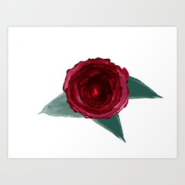 Deadly Rose Art Print