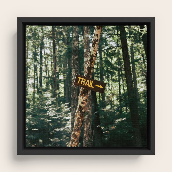 Framed Canvas