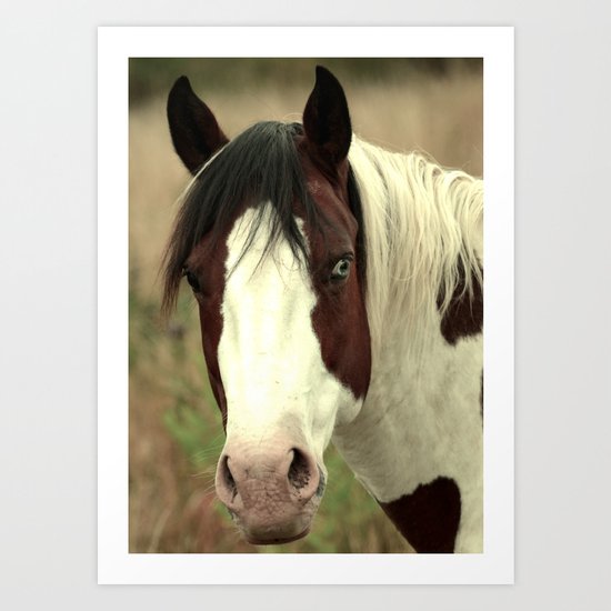 Heterochromian Art Print