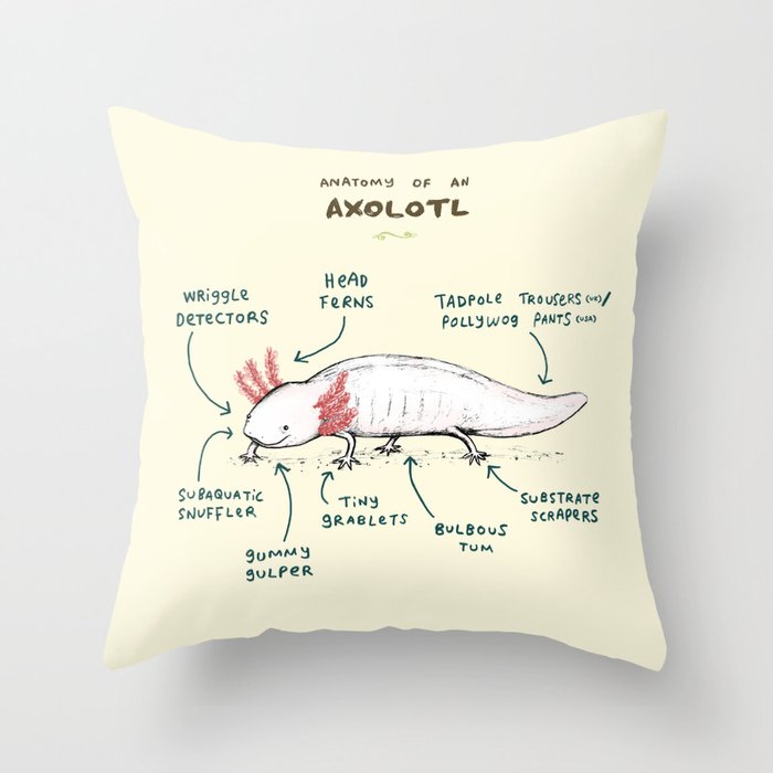 axolotl pillow pet