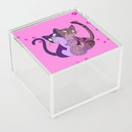 Cattitude Acrylic Box