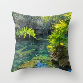 Mexico Photography - Beautiful Oasis In The Mexican Nature Throw Pillow