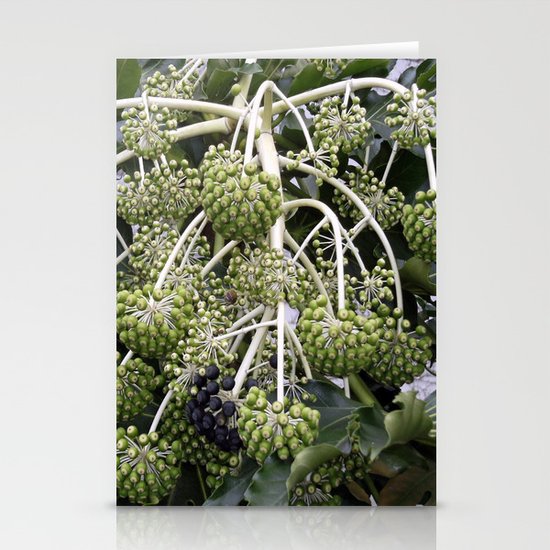 Green Buds Stationery Cards